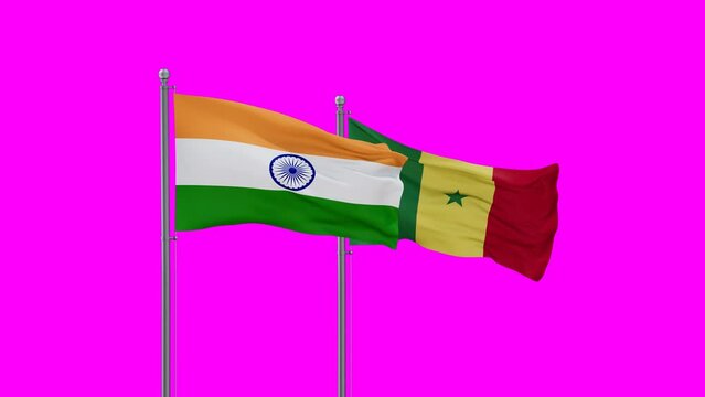 Republic of Senegal and India flag waving with colored chroma key for easy background remove, endless seamless loop, two country cooperation concept