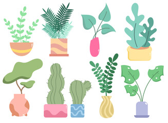 set of color vector illustrations with various plants in different flower pots with patterns