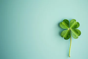Foto op Plexiglas Shamrock four leaf clover on light blue background with copy space. St. Patrick's Day concept.  © Mariia