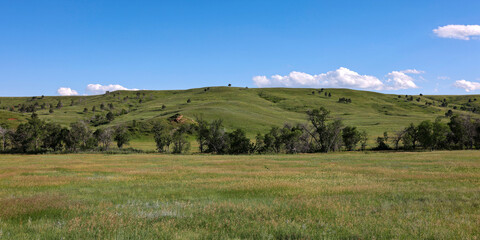 Obraz premium Rolling hills and the prairie in Custer State Park, Custer, South Dakota