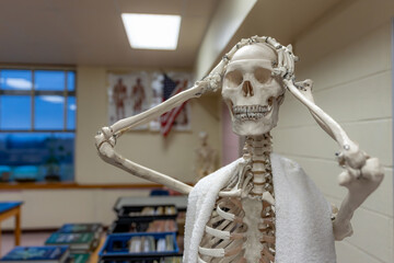 Skeleton with white towel over shoulders and showing emotion with both hands on head as if showing stress, disbelief, or worried. 