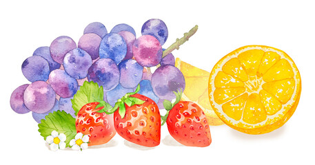 水彩で描いたカラフルなフルーツのイラスト,ブドウ,イチゴ,オレンジのジューシーでおいしそうな