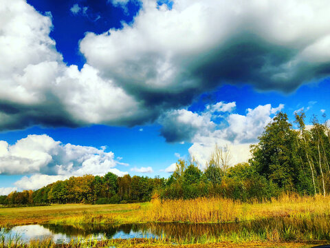 This image captures the vibrant drama of nature with an expansive view of rural wetlands under a dynamic sky. The foreground features a tranquil pond bordered by tall reeds and grasses, reflecting the