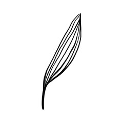 Single Leaf Line Art Illustration Isolated in White. Floral decoration branch leaf plant line. Modern single line art, aesthetic contour. Perfect for home decor such as posters, wall art, tote bag etc