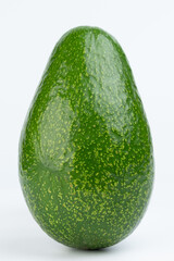 Raw green avocado plant