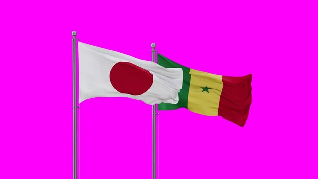 Republic of Senegal and Japan flag waving with colored chroma key for easy background remove, endless seamless loop, two country cooperation concept