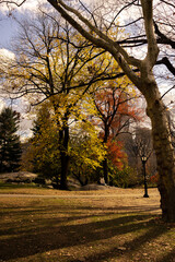 New York City Central Park autumn colors and architecture during a cloudy day