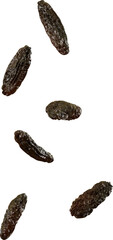 raisins
