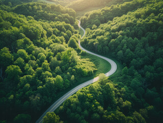 A winding road cuts through the green forest