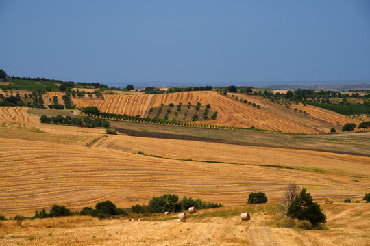 Country landscape near Forenza and Venosa, Basilicata, Italy