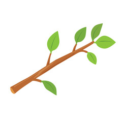 Tree branch with leaves