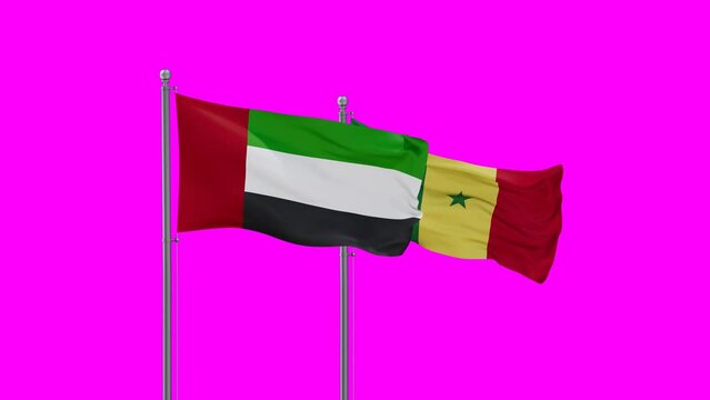 Republic of Senegal and United Arab Emirates, UAE flag waving with colored chroma key for easy background remove, endless seamless loop, two country cooperation concept