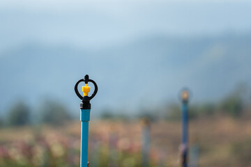 Fototapeta premium Water sprinkle system for spraying the flower garden with nature field as background. Close-up and selective focus.