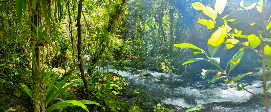 View at El Nicho waterfalls national park in Cuba