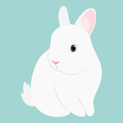 White Rabbit. Vector Illustration