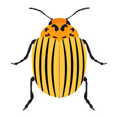 Colorado potato beetle icon isolated on white background. Vector illustration.