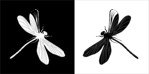 Foto op Plexiglas Illustration vector graphics of insect icon © Sempulur
