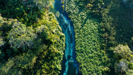 rio sucuri bonito mato grosso do sul	