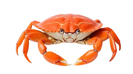 Crab isolated on transparent and white background.PNG image