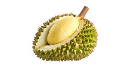Ripe Durian fruit isolated on transparent and white background.PNG image