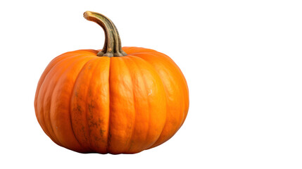 Obraz premium Pumpkin isolated on transparent and white background.PNG image