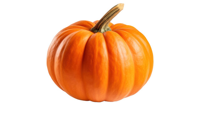 Pumpkin isolated on transparent and white background.PNG image