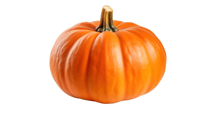 Pumpkin isolated on transparent and white background.PNG image