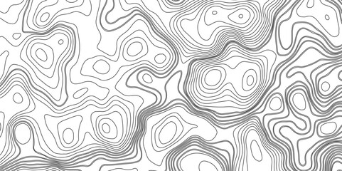 Obraz premium Abstract Line Contour Topography Pattern in Black and White