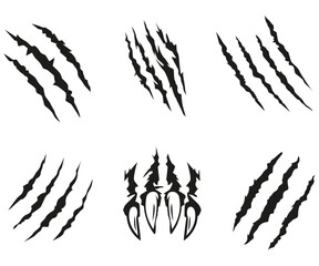 Claw scratch wild animal print, bear attack scratches, nail scraping a surface vector illustration