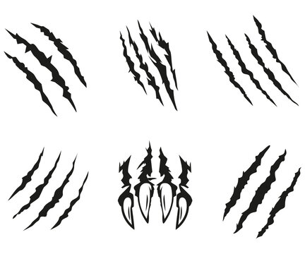 Claw scratch wild animal print, bear attack scratches, nail scraping a surface vector illustration