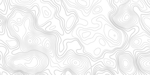 Abstract Line Contour Topography Pattern in Black and White