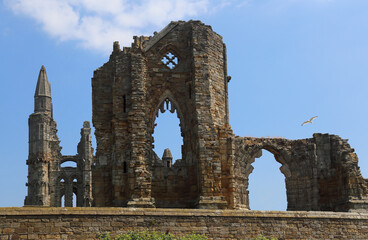 Ruin of Whitby Abbey - 725685913