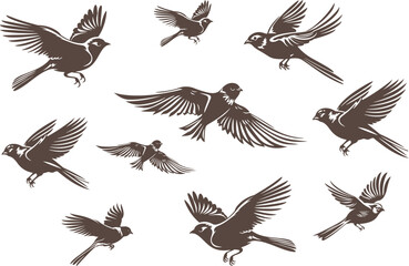 Set of birds sparrow flying black vector