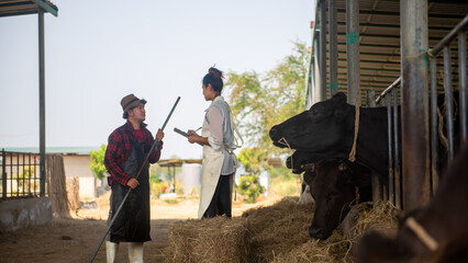 A farmer couple stood and talked. In the background is a cow eating hay © SAHARAT