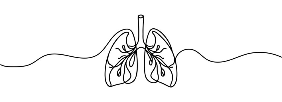 recommend clip art: One continuous drawing of the anatomical organ of the human lungs