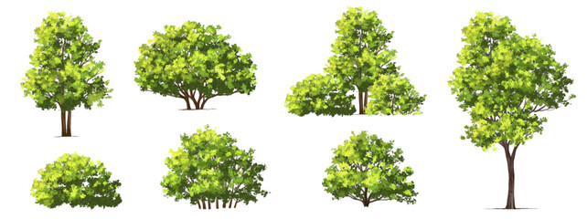 Vector watercolor green tree or forest side view isolated on white background for landscape and architecture drawing,elements for environment or garden,botanical element for exterior section in spring