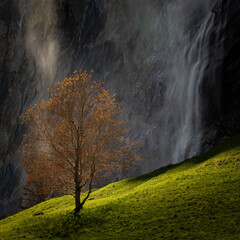 Waterfalls - Stubbach Falls, Lauterbrunnen Valley, Bernese Oberland, Switzerland.jpg