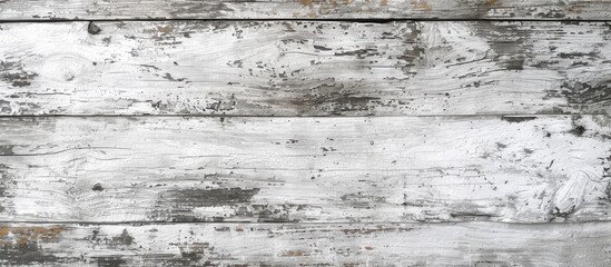 Obraz na płótnie Canvas White copy space on an aged wood board with a texture.