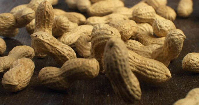 Super slow motion macro of fresh bio organic dried peanuts are falling on wooden rustic table in kitchen of restaurant at 1000 fps.