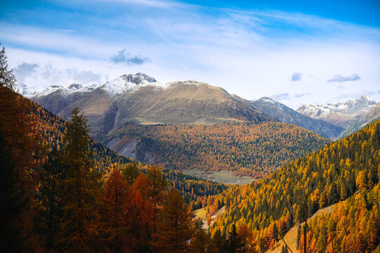swiss national park, Parc Naziunal Svizzer, in autumn - engading, switzerland - rolling alps with orange green and red colours