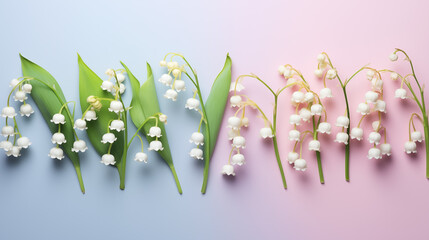 Kwiatowe pastelowe minimalistyczne tło z przebiśniegami na życzenia z okazji Dnia Kobiet, Dnia Matki, Dnia Babci, Urodzin czy pierwszego dnia wiosny. Szablon na baner lub mockup - obrazy, fototapety, plakaty