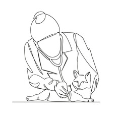veterinarian doctor treats a cat