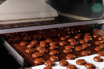 Process of chocolate glazing marshmallows in confectionery on conveyor machine. Robotic...
