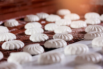 Process of chocolate glazing marshmallows or zephyr in confectionery on conveyor line, sweet food factory