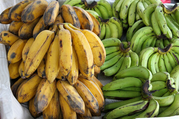 Plantains at farmer's market in Quepos, Costa Rica 