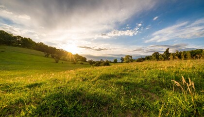 Fototapeta na wymiar grass on the meadow at sunset