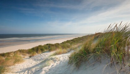 Fototapeta na wymiar dune beach at the north sea coast sylt schleswig holstein germany