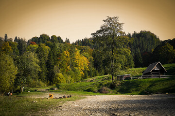 Place for rest in Biala Woda nature reserve in autumn, Pieniny Mountains, Poland.