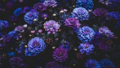 Fototapeta na wymiar moody dark close up of blue and purple garden flowers floral pattern
