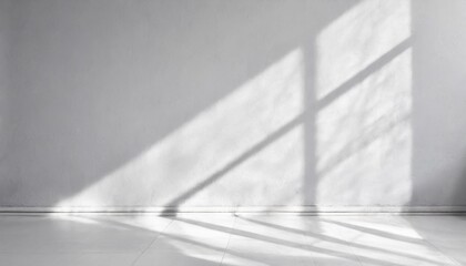 a light gray wall with a smooth floor and a beautiful openwork shadow minimalistic background for presentation